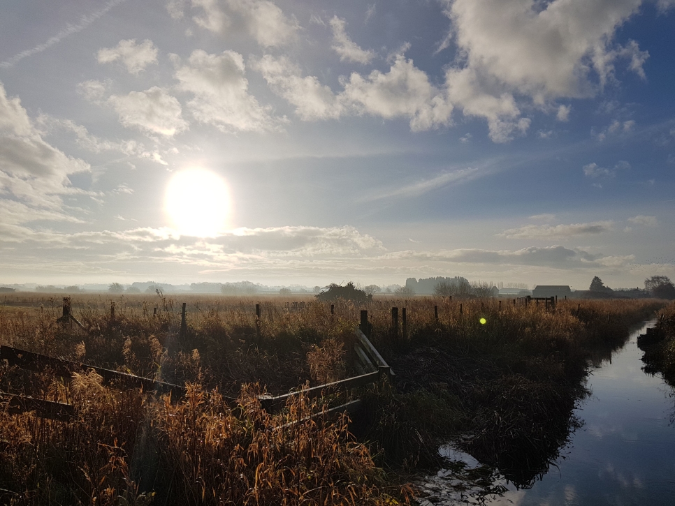 View: Guided Walks